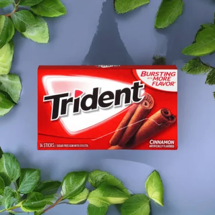 Trident Cinnamon Gum (Sugar Free)