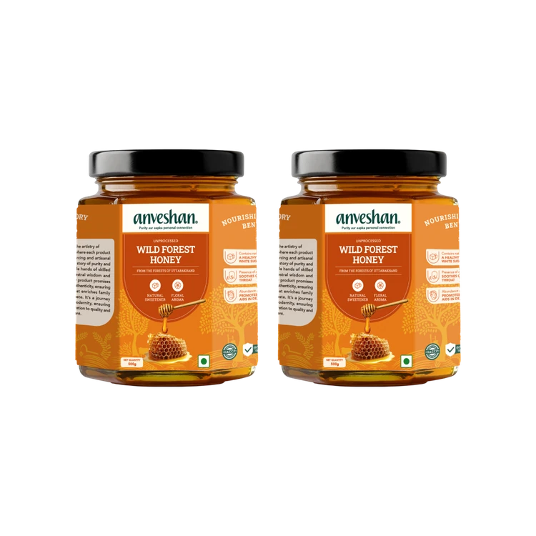 Anveshan Raw Wild Forest Honey - Pack of 2