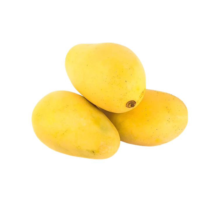 Banganapalli Mango (Maavina Hannu)