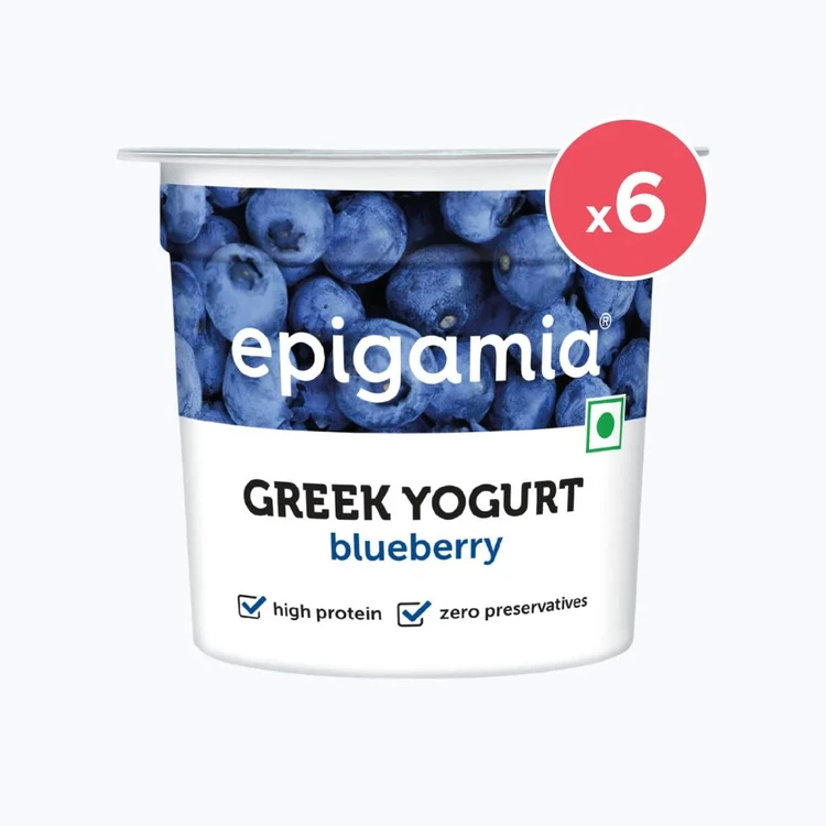 epigamia Blueberry Yogurt - Pack of 6