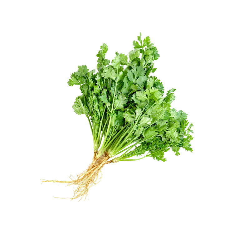 Coriander Bunch Special Offer (Kottambari Soppu)