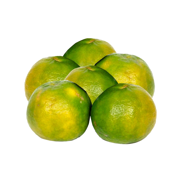 Indian Orange (Kittale Hannu)