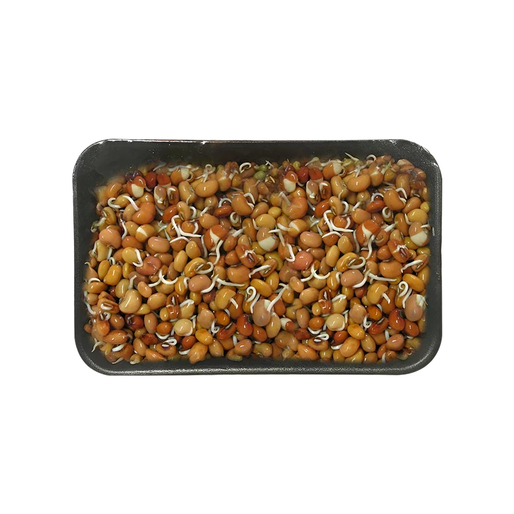 Red Chowli Sprouts (Molke Kalu)