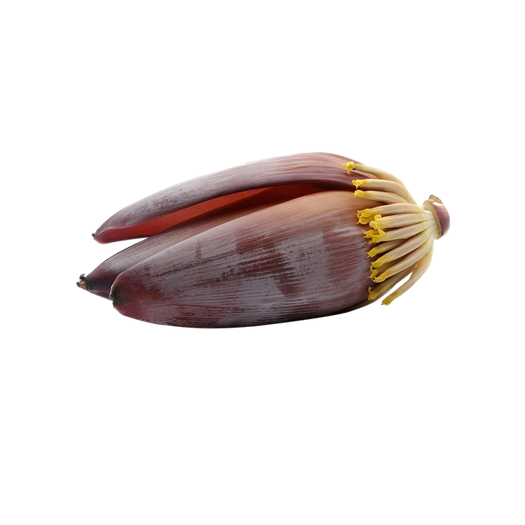 Banana Flower (Baale Hoo)