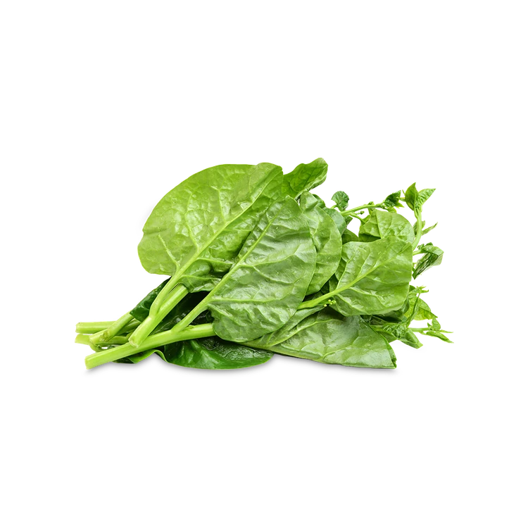 Malabar Spinach (Basale Soppu / Palak Soppu)