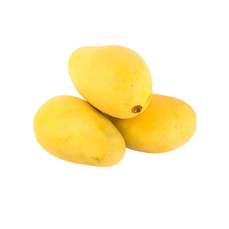 Banganapalli Mango (Maavina Hannu)