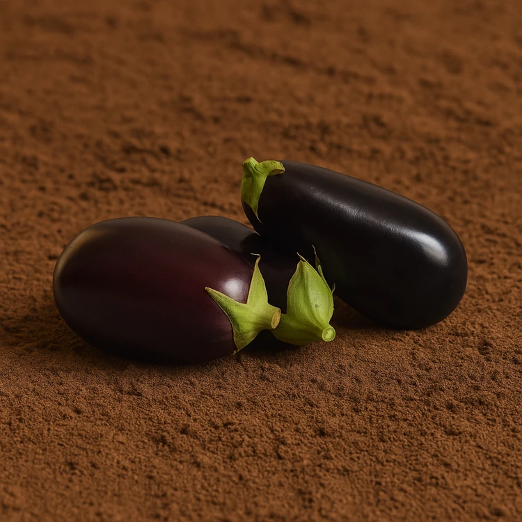 Organically Grown Brinjal Bharta - 500 g (Badanekayi)