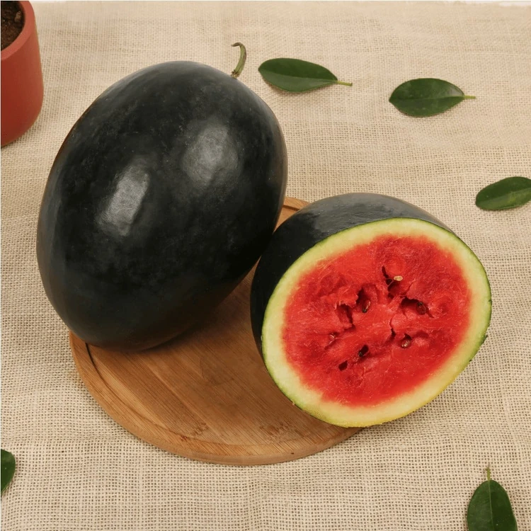 Organically Grown Watermelon - 1 piece (2.5 kg) (Kallangadi)