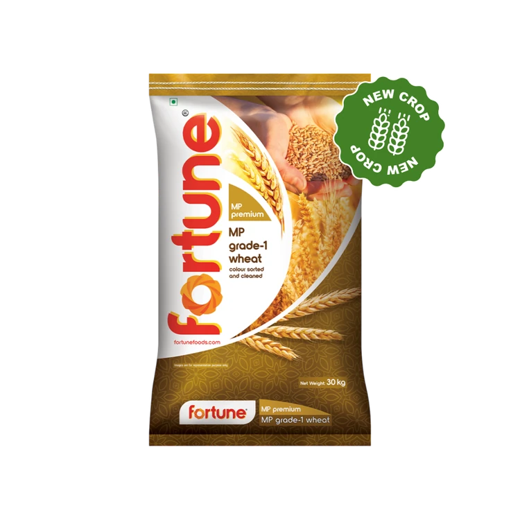 Fortune MP Grade-1 Wheat Grains