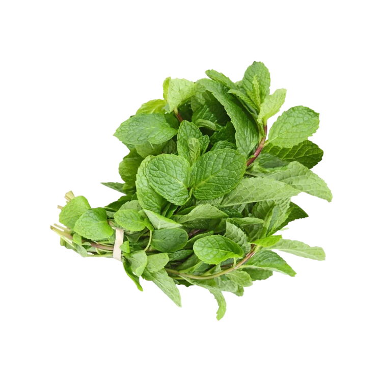 Mint by Deep Rooted (Pudina Soppu)