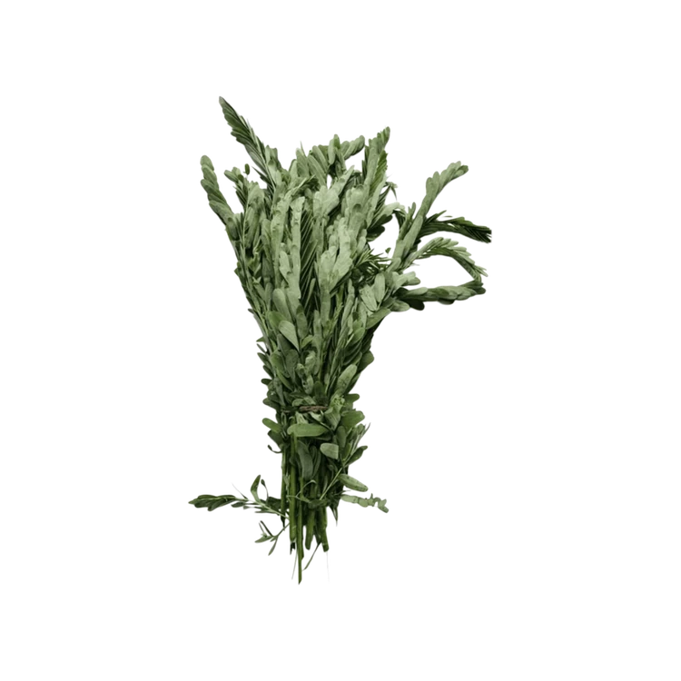 Sesbania grandiflora- (Agathi keerai)