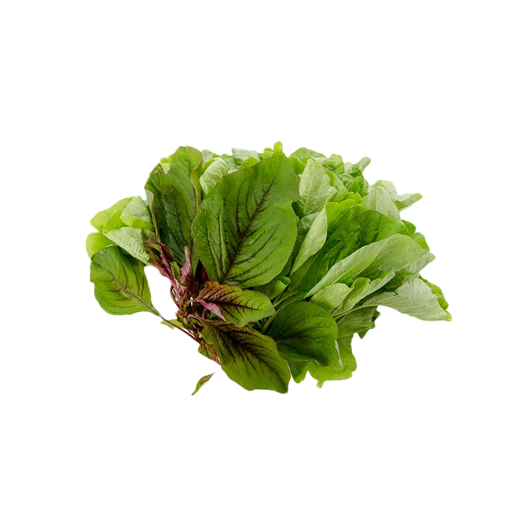 Green Amaranthus Leaves (Tandulsa) (Dantu Soppu)