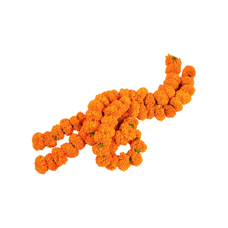 Orange Marigold Flower String / Garland Special Offer (Orange Marigold Haara)