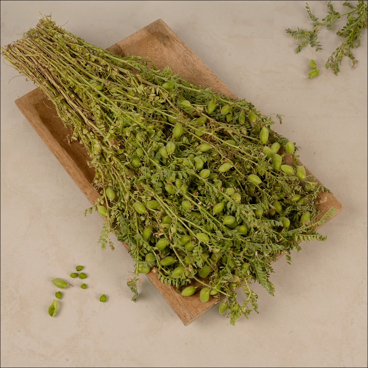 Unpeeled Green Chana (Hasiru Kadale)