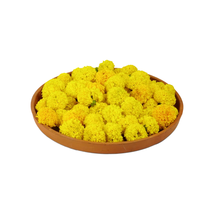 Marigold (Chandu Hoovu)