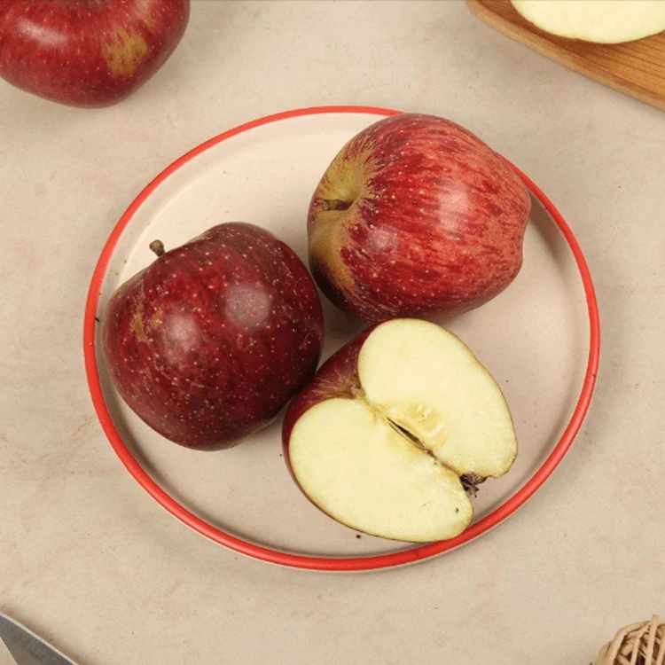 Kinnaur Apple (Sebu)