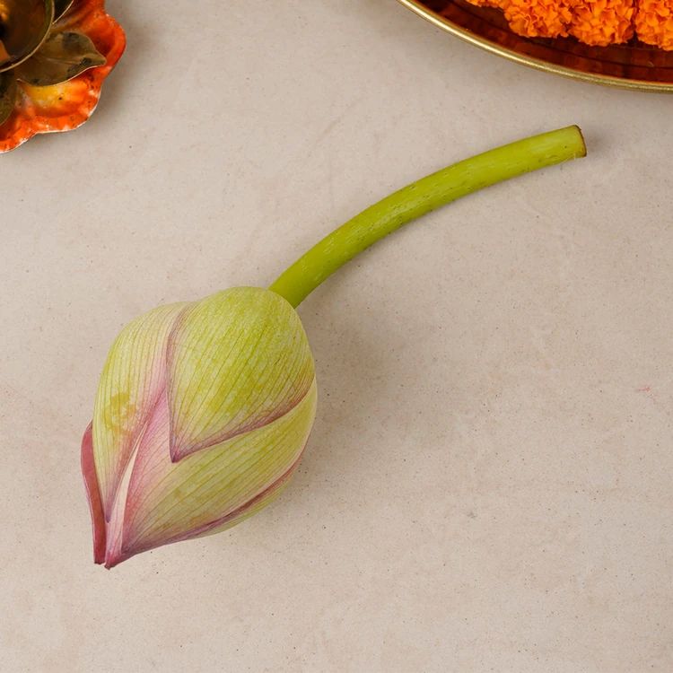 Pink Lotus Flower Special Offer