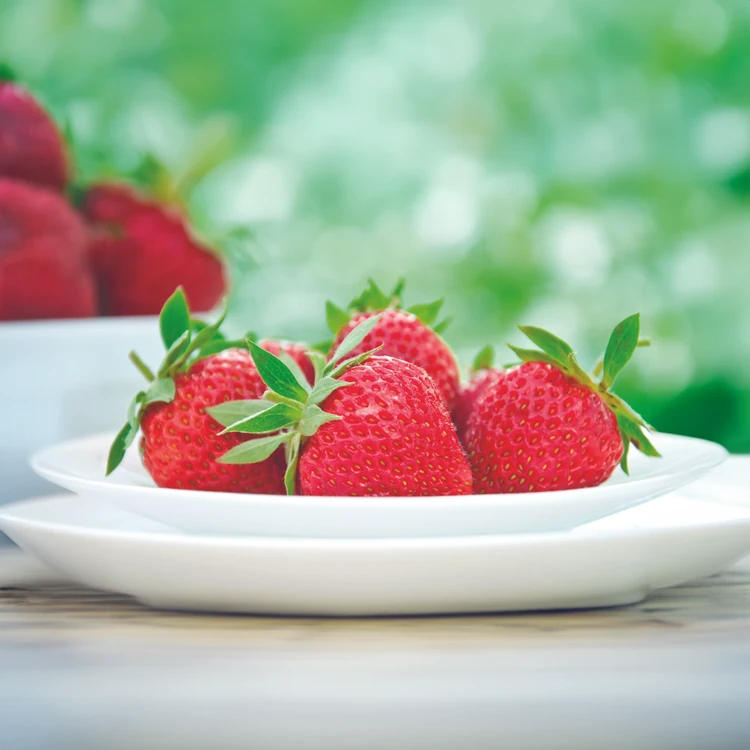 Delishh Frozen Strawberry