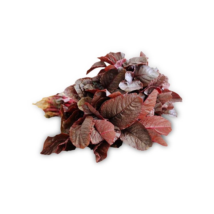 Red Amaranthus Leaves (without roots) (Dantu Soppu)
