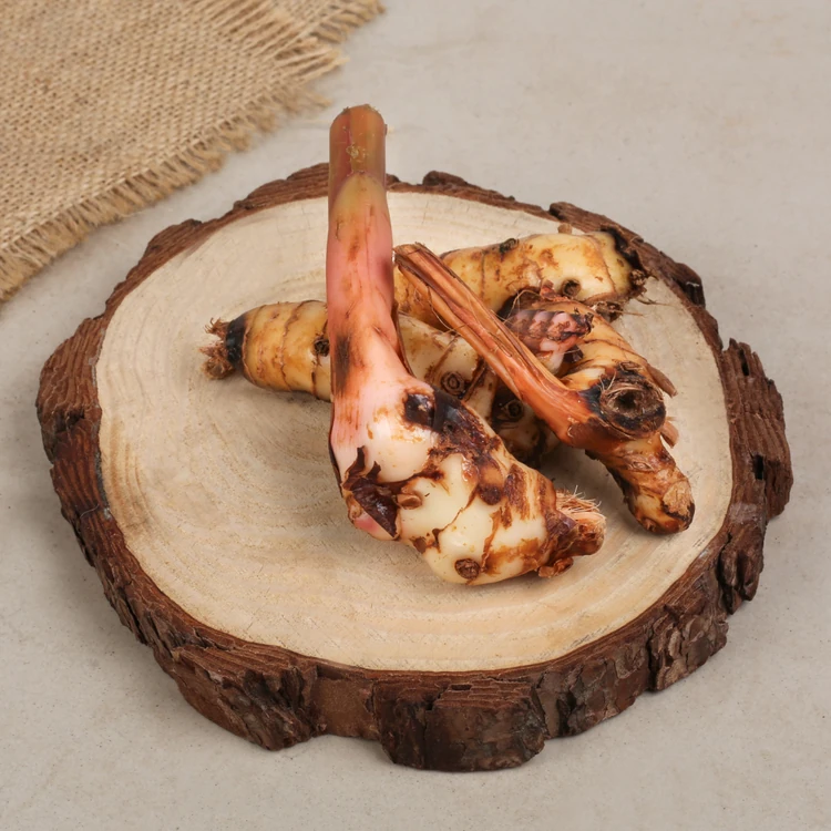 Galangal (Herb) Thai Ginger (Galangal)