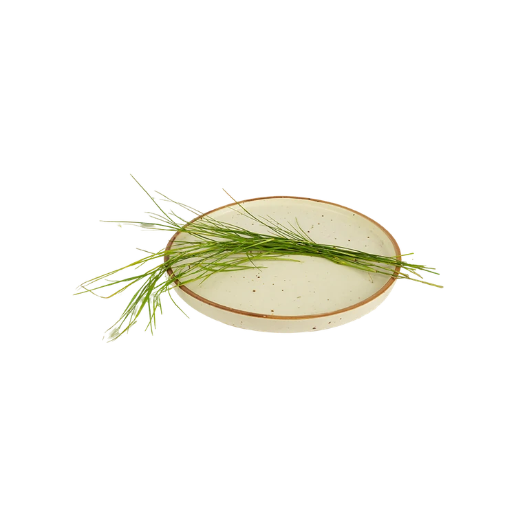 Doob Grass / Durva Grass (Garike)