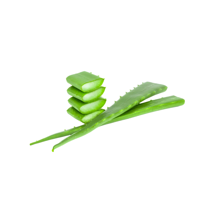 Aloe Vera (Lolesara)