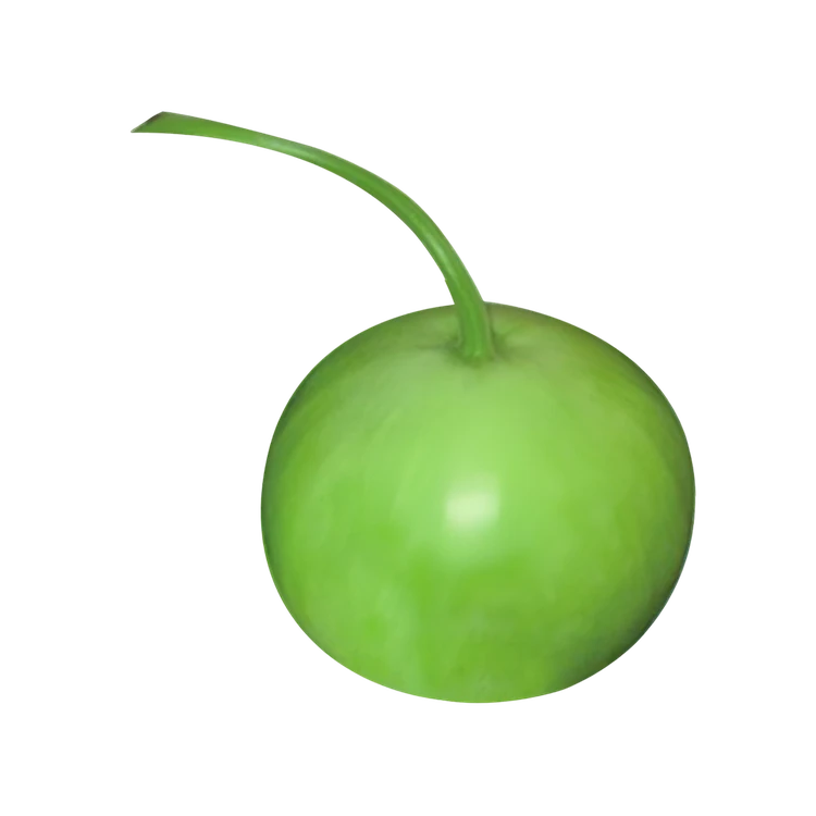 Round Bottle Gourd (Sore Kayi)