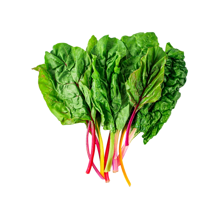 Swiss Chard Multi-coloured