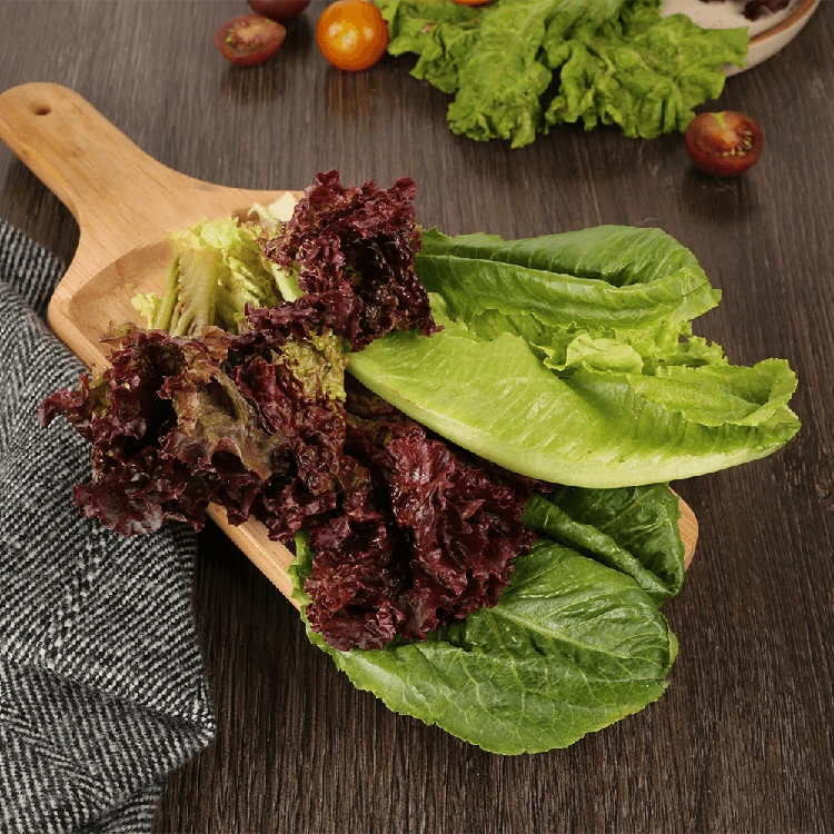 Lettuce Mix (Letis Soppu)