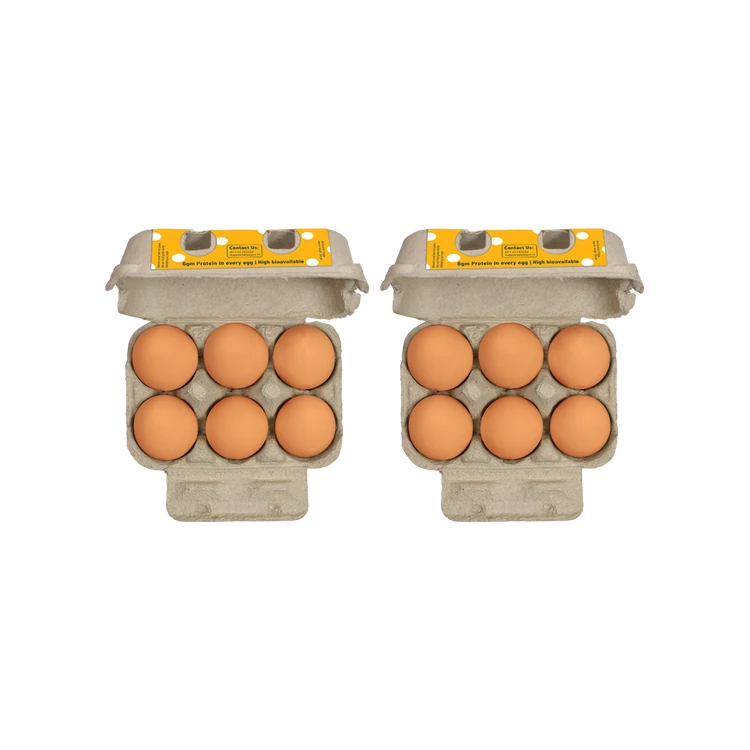 Eggoz Nutrition Protein Rich Brown Eggs (6 pieces) - Pack of 2