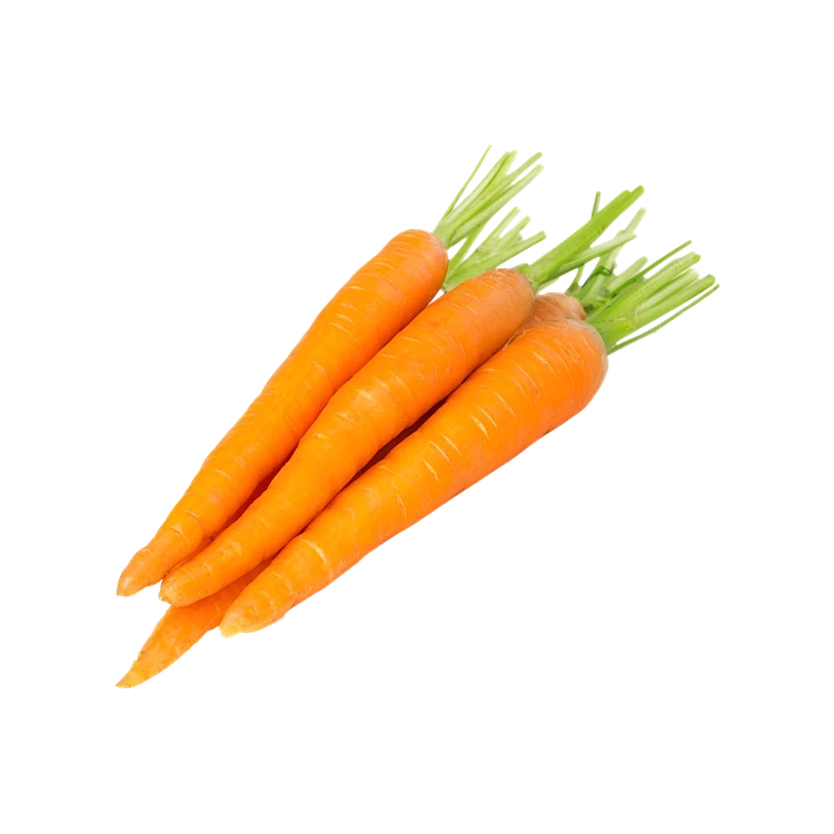 Ooty Carrot