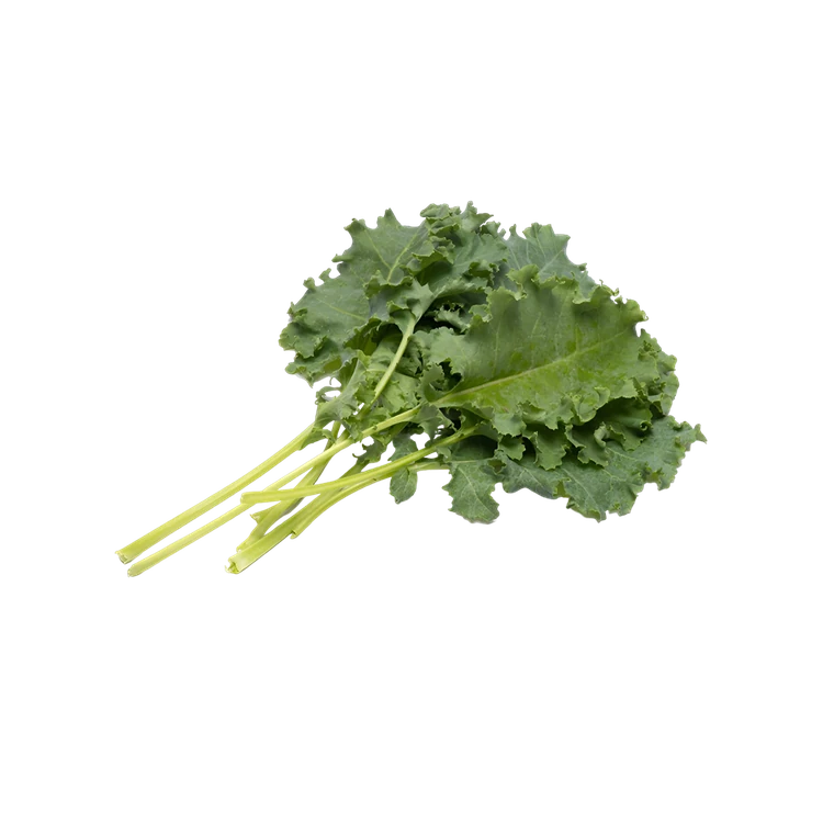 Curly Kale Leaves - Hydroponically Grown (Kale Soppu)