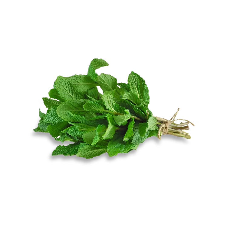 Mint Leaves Special Offer (Pudina soppu)
