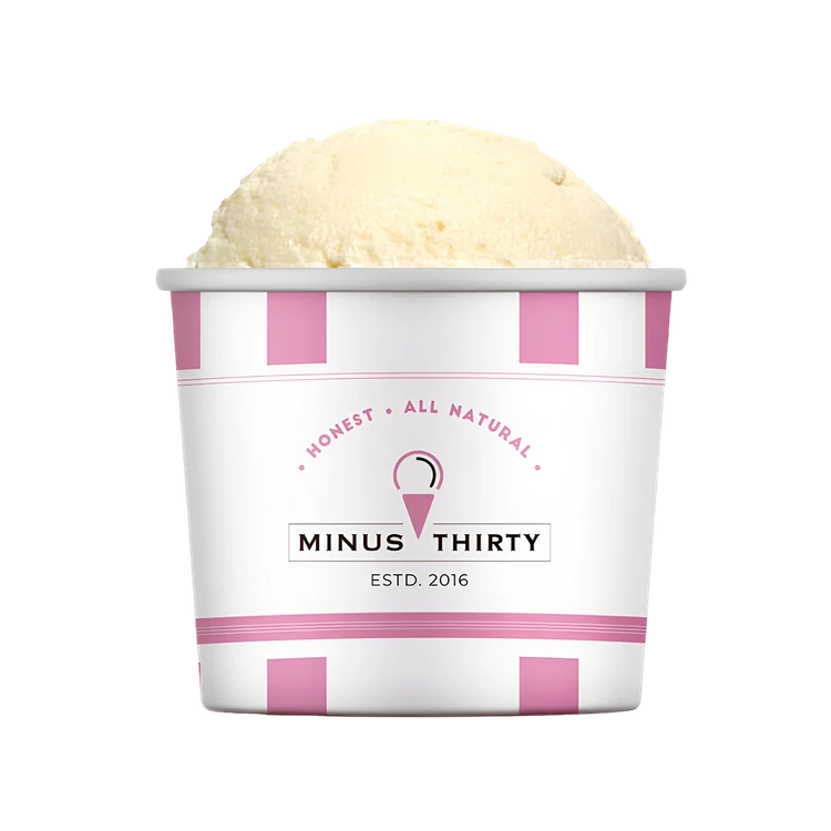 Minus Thirty Coconut Vegan Ice Cream Cup (Sugar Free)