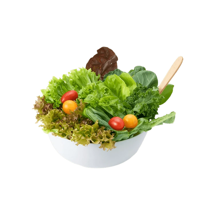 Hydroponic Salad Mix with Cucumber