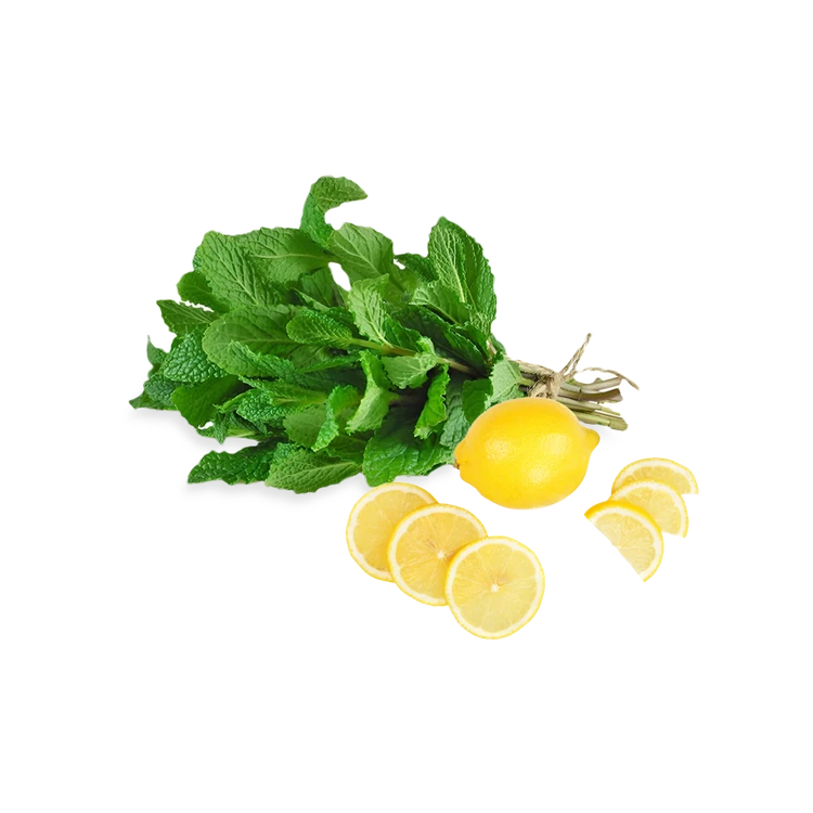 Mint Leaves + Lemon Cut Mix Combo