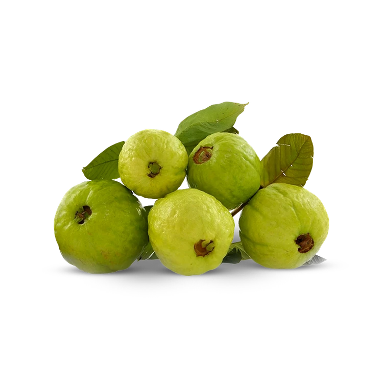 Guava Special Offer