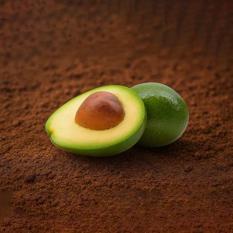 Organically Grown Indian Avocado (Semi Ripe) - 1 piece (200-250 g) (Benne Hannu)