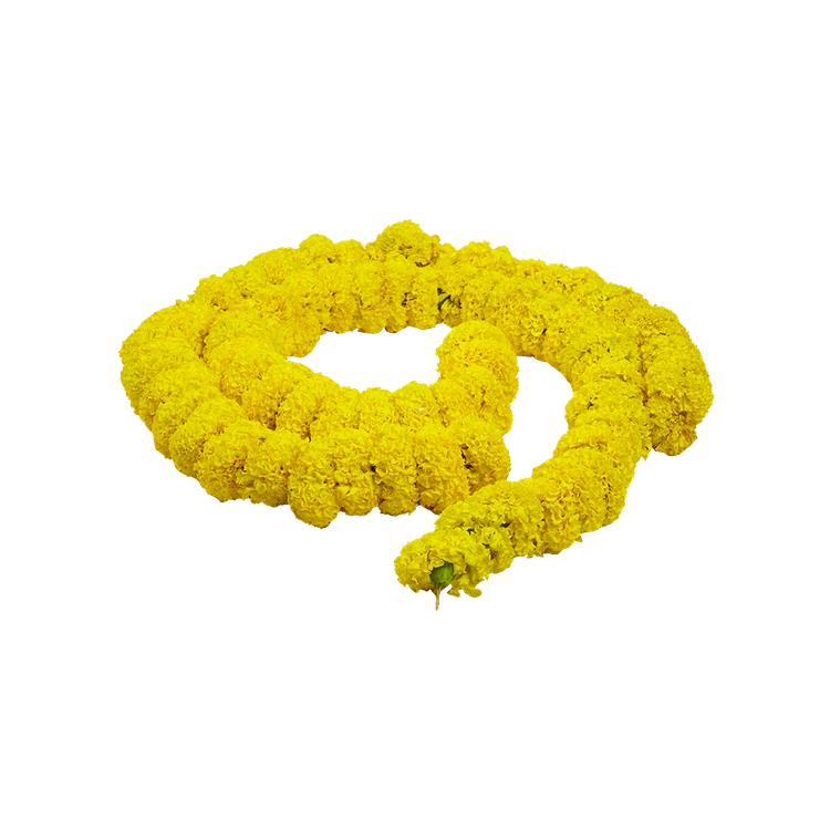 Marigold Flower String Special Offer