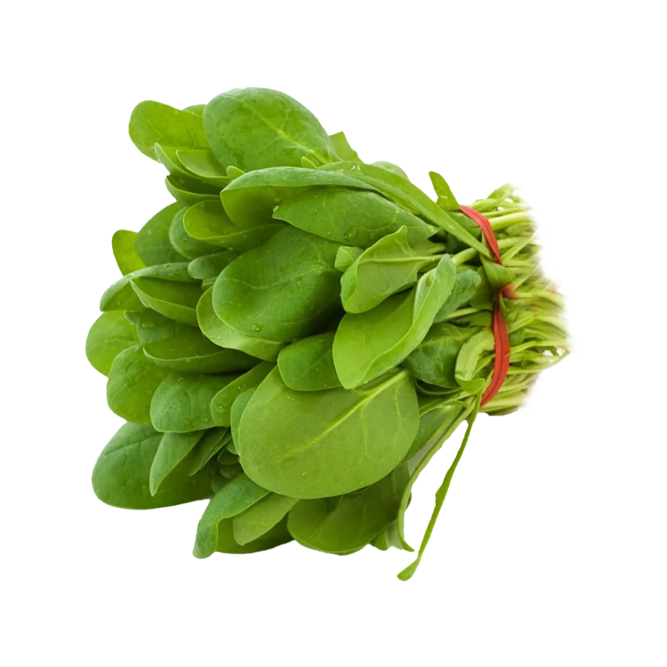 Baby Spinach - Greenhouse grown by Deep Rooted