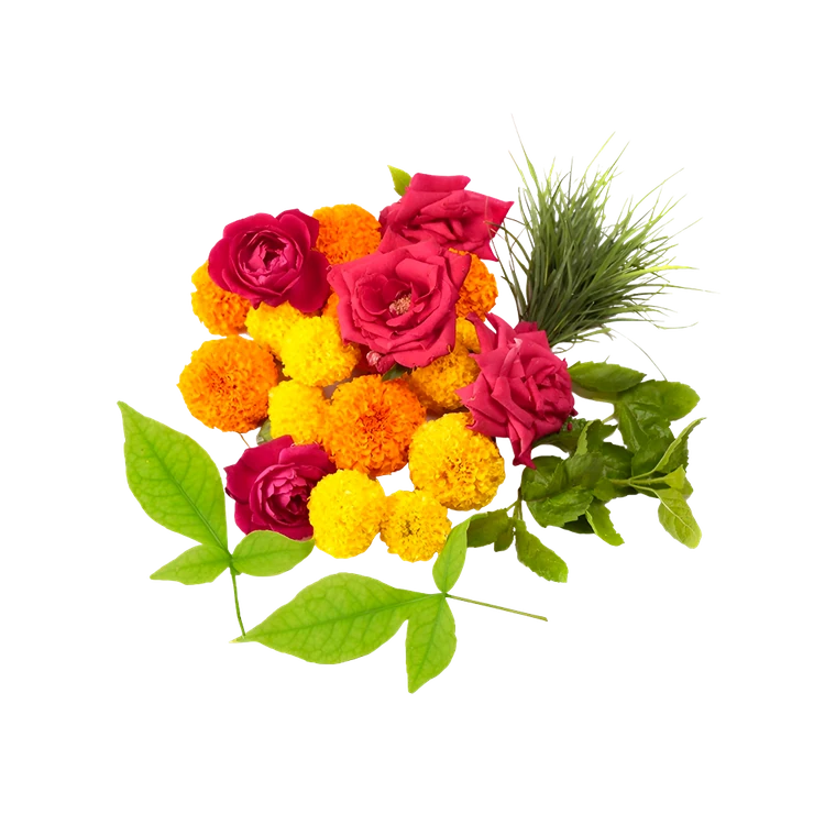 Flowers & Greens Mix Special Offer