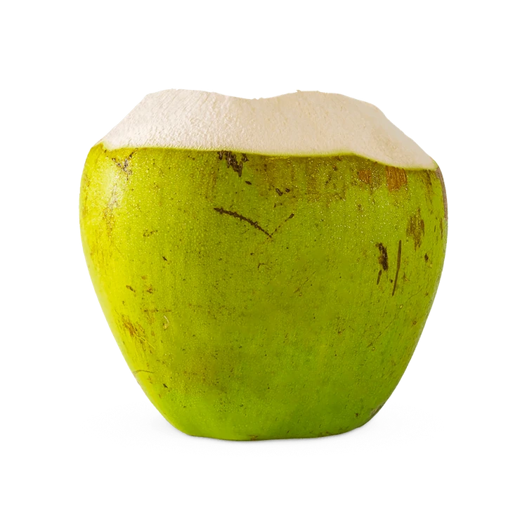Tender Coconut - (1 piece) Special Offer