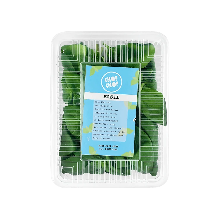 Hydroponically Grown Italian Basil Leaves (Tulasi Yelegalu)