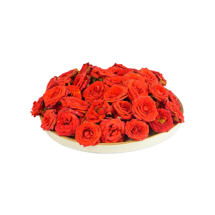 Button Rose (Desi Gulab) Special Offer