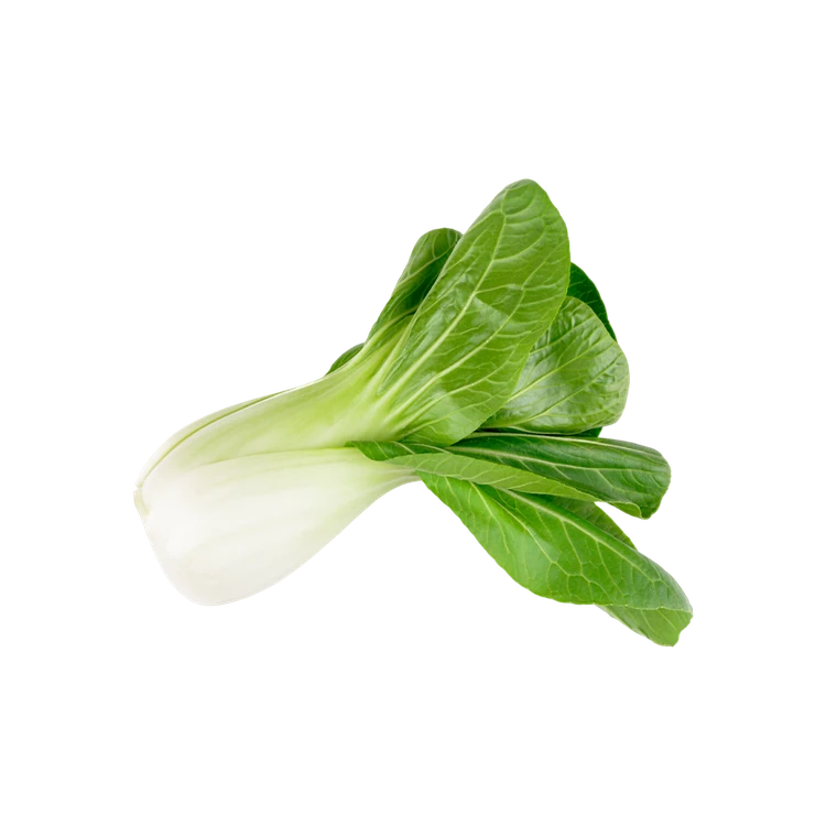 Bok Choy - Hydroponically Grown