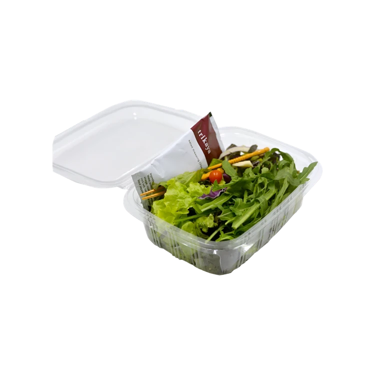 Ready to Eat Salad with Roquette/Arugula with Dressing