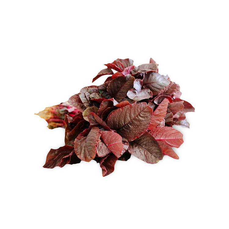 Red Amaranthus Leaves - Hydroponically Grown (Dantu Soppu)