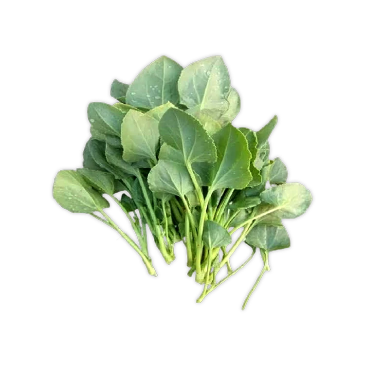 Sorrel Special Offer