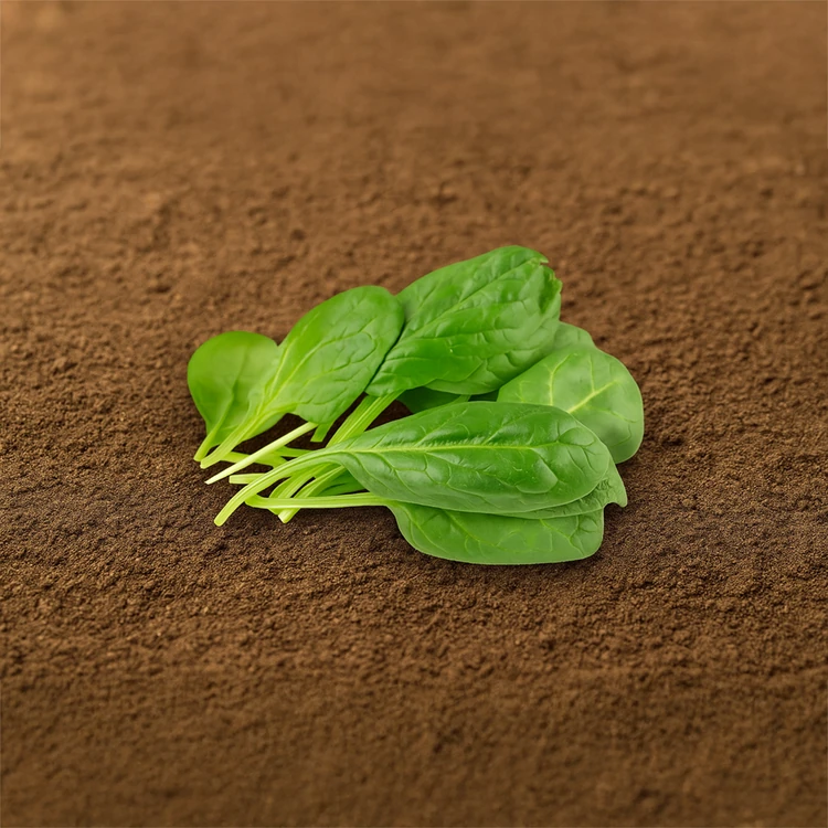 Organically Grown Spinach - 250 g