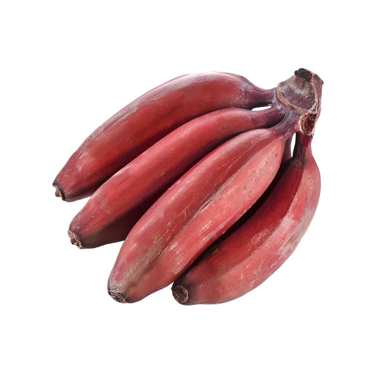 Red Banana (Kempu Baale Hannu)